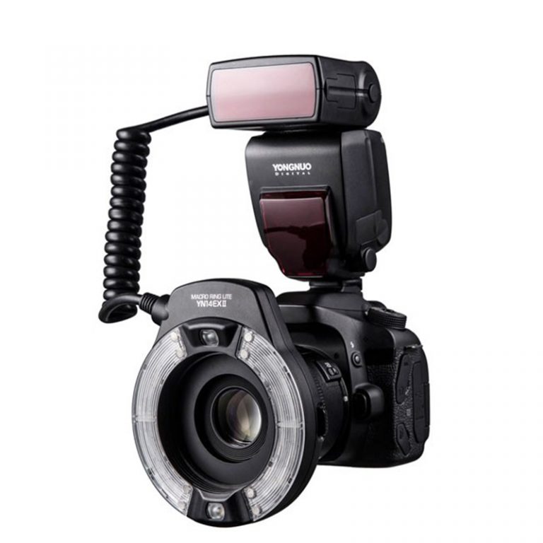 Ring Flash Light Double Lamp Macro Flash for Canon 5D4
