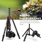 Lightweight 360° Ball Head Tripod for Outdoor, Travel, and Studio Photography