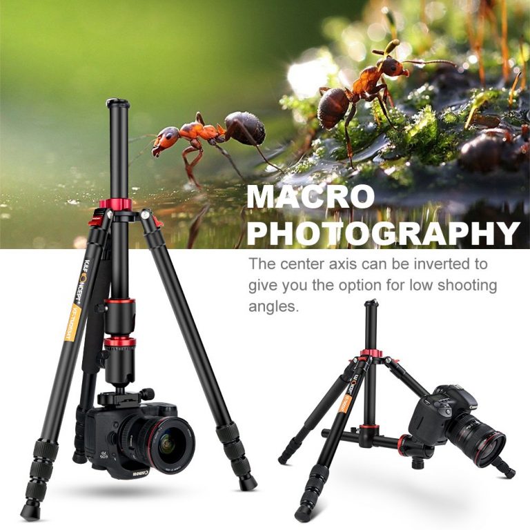 K&F Concept TM2534T DSLR Camera Tripod 66' Magnesium Aluminium Monopod Professional Tripods W/ 360° Ball Head for Canon Nikon 2 Lightweight 360° Ball Head Tripod for Outdoor, Travel, and Studio Photography