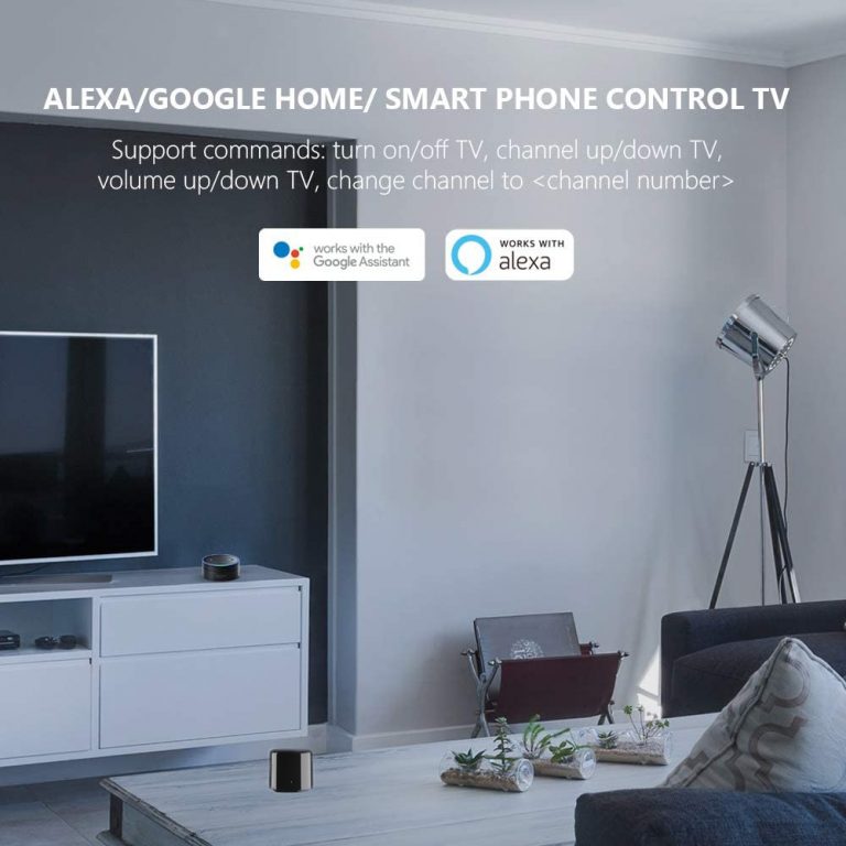 4G Remote Control work for Alexa Google