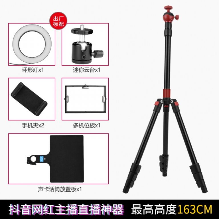 Tiktok Q3 Photo Studio with Aluminum Light Stand & ring light