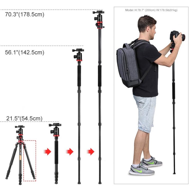 K&F Concept TM2534T DSLR Camera Tripod 66' Magnesium Aluminium Monopod Professional Tripods W/ 360° Ball Head for Canon Nikon 4 Lightweight 360° Ball Head Tripod for Outdoor, Travel, and Studio Photography