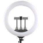 Tiktok 55 Dimmable Ring Light Selfie Photography Lighting