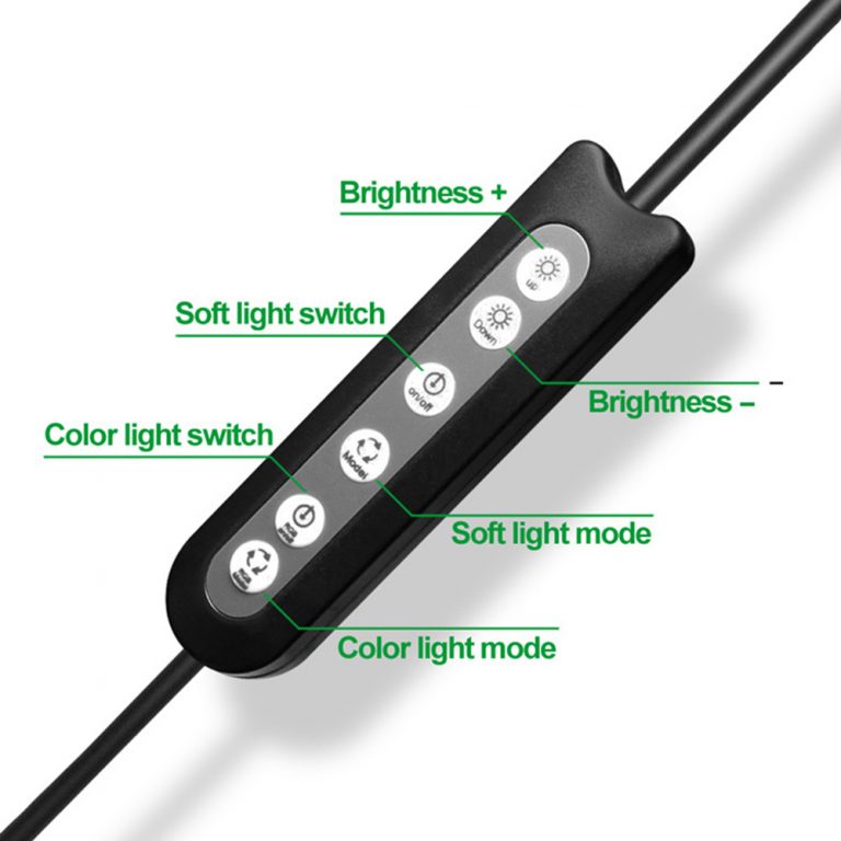 Content Creation with the BKispaki 10-inch RGB LED Selfie Ring Light: Perfect for Vibrant Video, Stunning Portraits, and Dynamic TikTok Moments