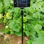 Hunt Trail Camera Tripod Mount & Stake Monopod for GoPro, Xiao Yi, SJCam, and Smartphones