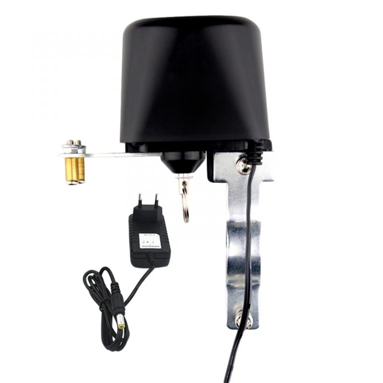 System for Gas or Water Voice Control Smart Home Alexa Echo
