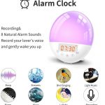 Alarm Clock for Amazon Alex Google Assistant Digital Snooze Night Light Wake-up