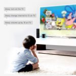 4G Remote Control work for Alexa Google