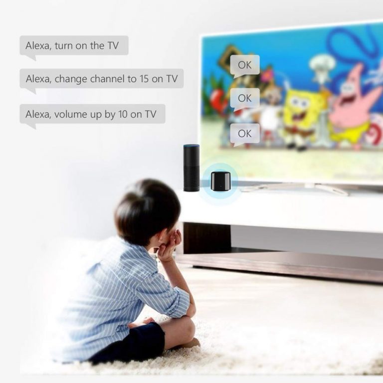4G Remote Control work for Alexa Google