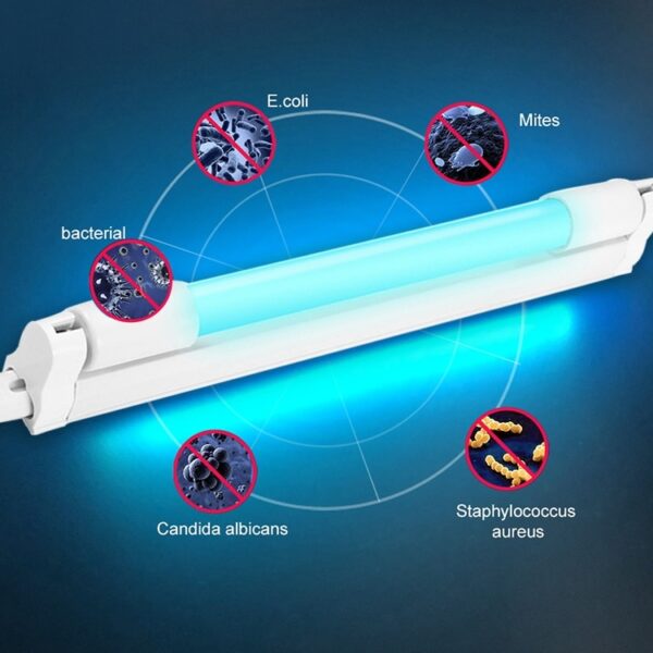 Ozone Quartz UV Mobile Phone Disinfection Light Portable