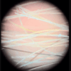 iPhone Samsung 200X Magnification Microscope Lens