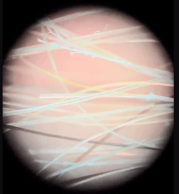 iPhone Samsung 200X Magnification Microscope Lens
